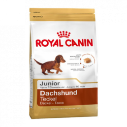 Сухой корм Royal Canin Dachshund Puppy для щенков до 10 месяцев