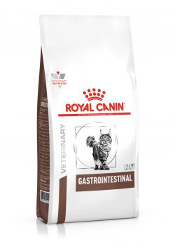 Лечебный сухой корм для кошек при нарушениях пищеварения Royal Canin GASTRO INTESTINAL FELINE