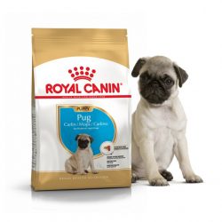 Сухой корм Royal Canin для щенков мопсов до 10 месяцев Breed PUG PUPPY