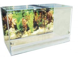 Террариум Природа 60х35х40