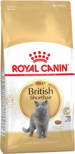 Сухой корм Royal Canin British Shorthair Adult для котов породы британская короткошерстная от 12 месяцев