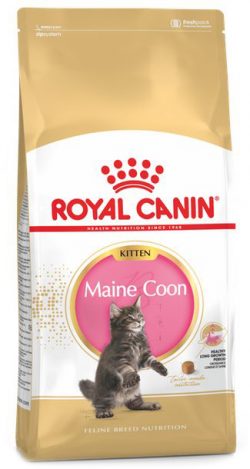Сухой корм Royal Canin Maine Coon Kitten для котят породы мейн-кун до 15 месяцев