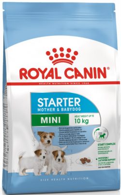 Сухой корм Royal Canin Mini Starter для собак мелких пород в период беременности и лактации