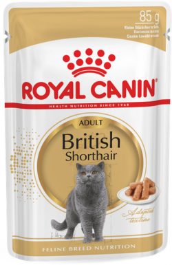 Влажный корм для кошек Royal Canin British Shorthair Adult для британских короткошерстных кошек старше 12 месяцев