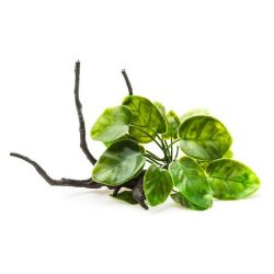 Растение на корне пластик В2001 23х16х14 см