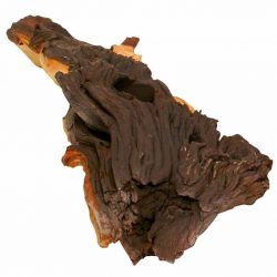 Корень Mopani № 1, 1шт