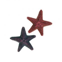 Декор. Морские звезды (12шт.)  9см