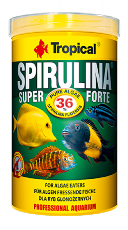 Super Spirulina Forte 1L /200g  с содержанием 36% спирулины