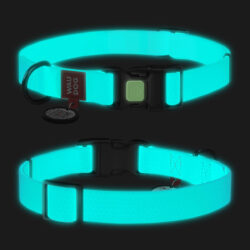 Нашийник для собак водостійкий WAUDOG Waterproof c QR паспортом, світонакоплювальний, пластикова пряжка-фастекс, Ш 15 мм, Дов 25-35 см