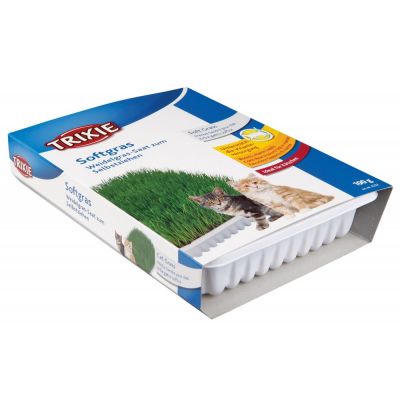 Трава Trixie Soft Grass для котів та кошенят контейнер пластик 100 г