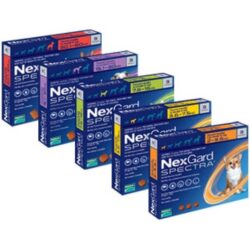 Нексгард СПЕКТРА ( NexGard SPECTRA ) 3.5 – 7.5 кг таблетка проти бліх, кліщів, гельмінтів для собак