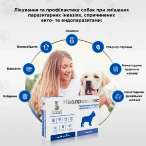 Квадромідас протипаразитарні таблетки для собак 32-64 кг, 3,2 г, MODES (від бліх, кліщів, гельмінтів) - Зображення 3