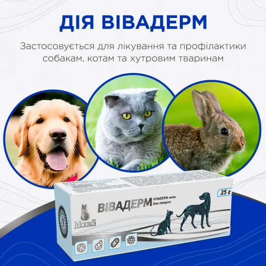 Вівадерм лікувальна мазь, знеболююча, протигрибкова, протизапальна 25 г, MODES - Зображення 6