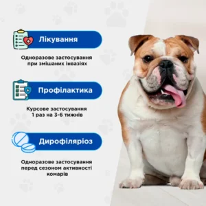 Квадромідас протипаразитарні таблетки для собак 32-64 кг, 3,2 г, MODES (від бліх, кліщів, гельмінтів) - Зображення 2