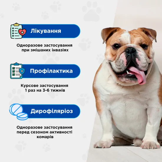 Квадромідас протипаразитарні таблетки для собак 32-64 кг, 3,2 г, MODES (від бліх, кліщів, гельмінтів) - Зображення 2