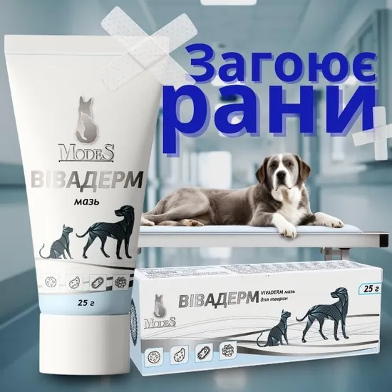 Вівадерм лікувальна мазь, знеболююча, протигрибкова, протизапальна 25 г, MODES - Зображення 3