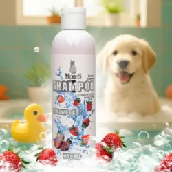 Шампунь фруктовий з ароматом полуниці для котів і собак 250 мл, MODES