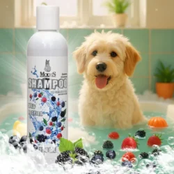 Шампунь фруктовий з ароматом лісових ягід для котів та собак, 250 мл, MODES