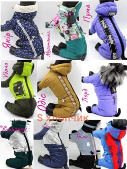 Комбінезон для собак ( хлопчик ) Fifa розмір S 72096 Дакар