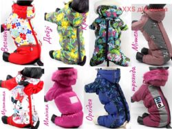 Комбінезон для собак ( дівчаток ) Fifa XXS 72297 Дейзі , одяг для собак