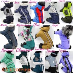 Комбінезон для собак  XS хлопчик 72095 Дакар